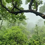 Shivanjal Wellness And Accommodation