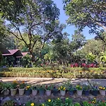 Pebbles Resort