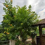Nature Villa