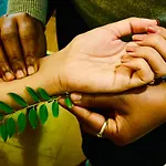 Sanskriti Vedic Retreat
