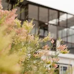 Aavya Wellness Retreat Center