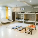 Freebird Nest Hostel