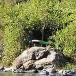 Elephant Brook Resort