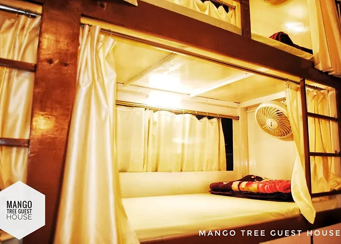 Mango Tree Guest House