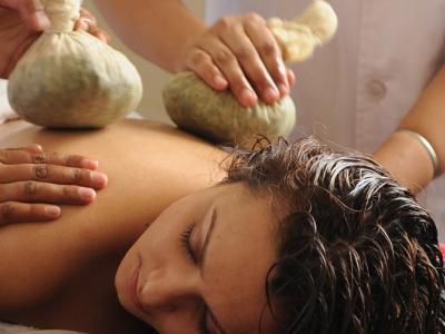 Naturoville Ayurvedic And Yoga Retreat Resort Rishikesh