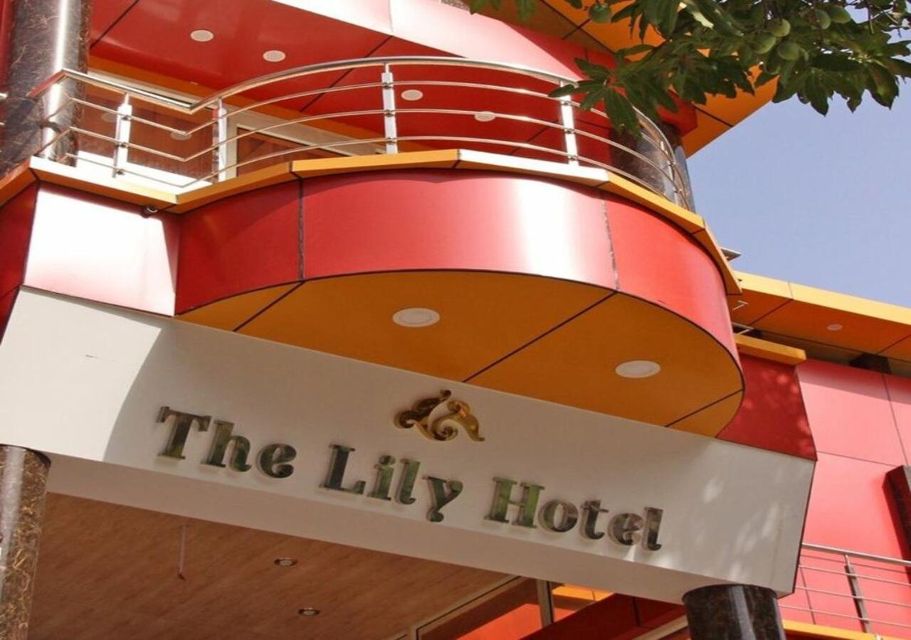 The Lily