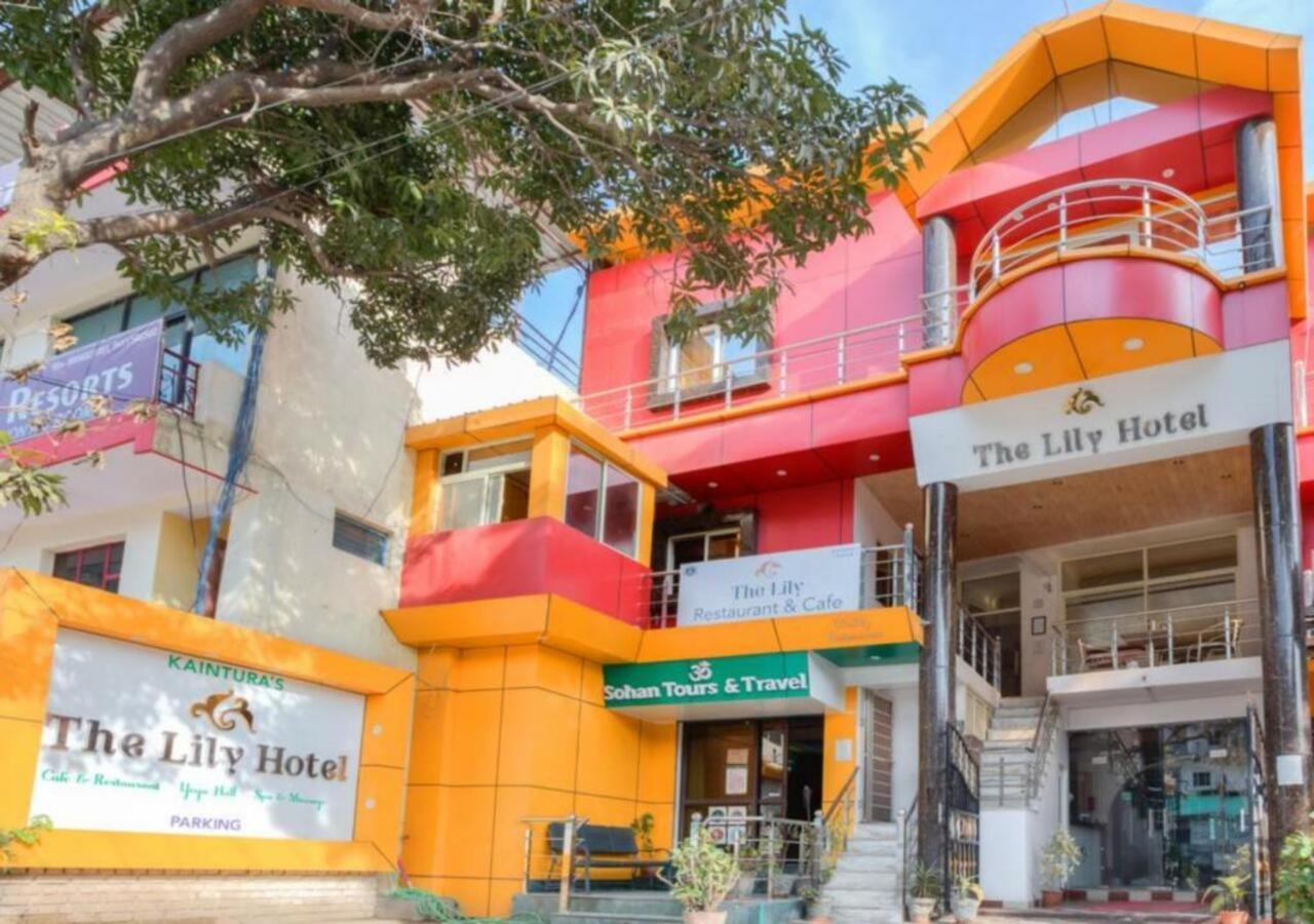 The Lily Hotel 3*