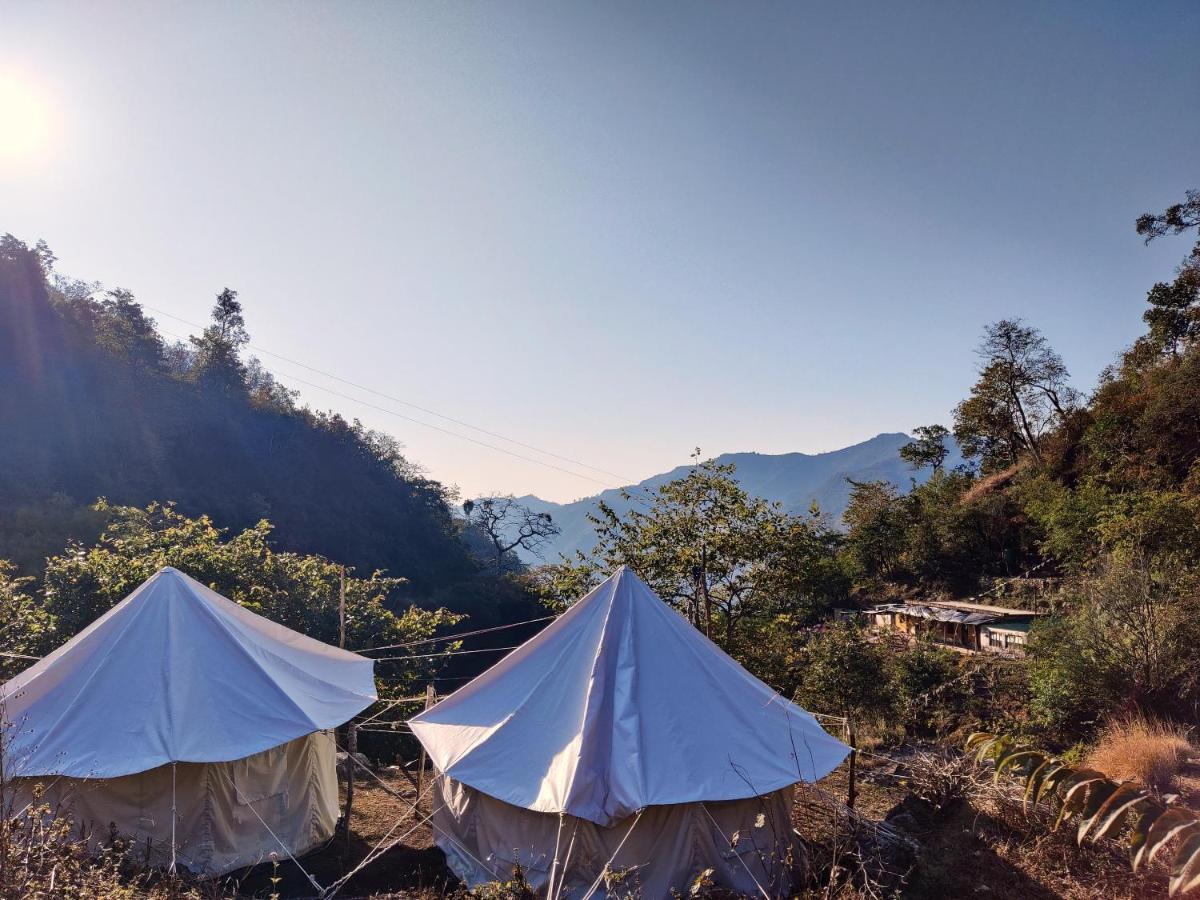 Tribe Aqua A Nature Retreat Above Neer Waterfall Campsite Rishikesh