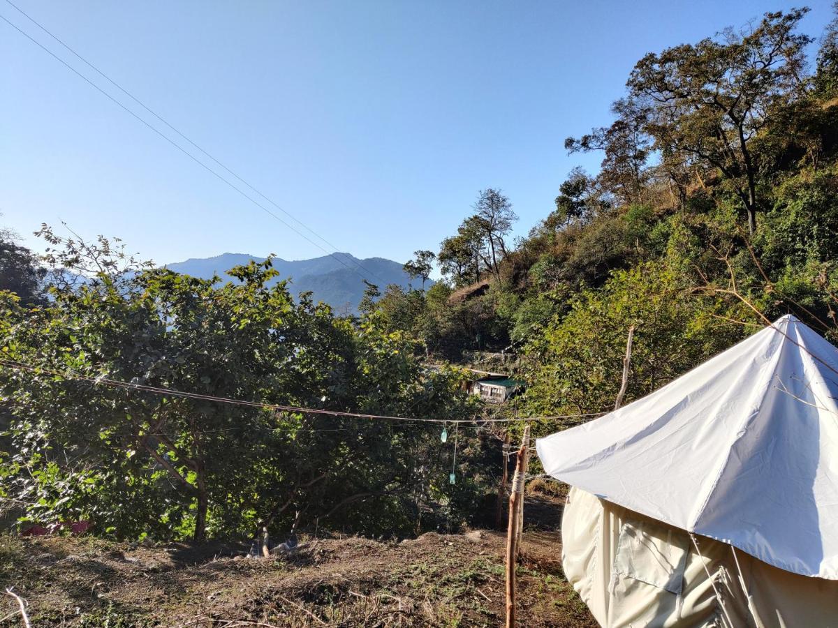 Tribe Aqua A Nature Retreat Above Neer Waterfall Campsite Rishikesh