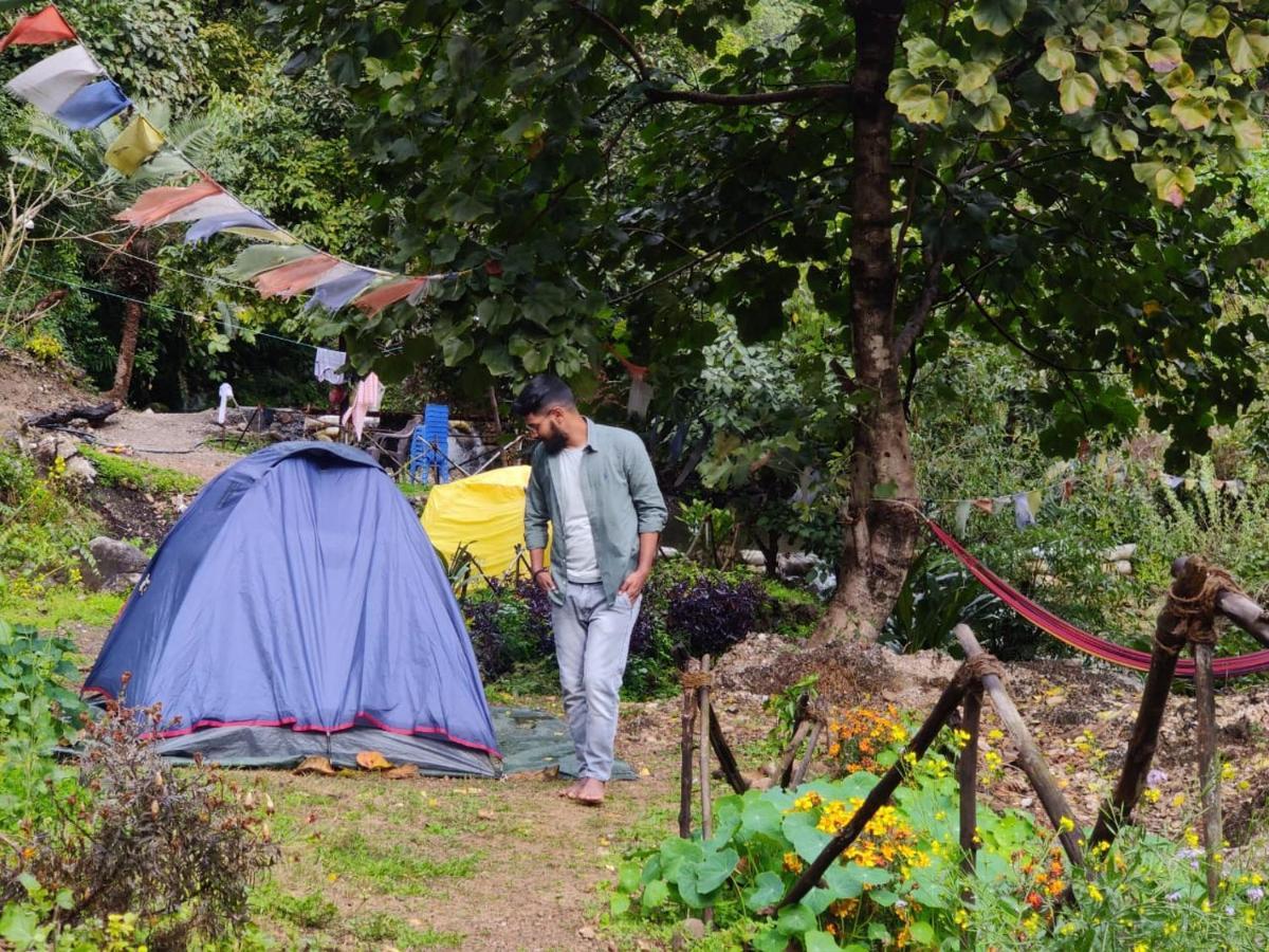Campsite Tribe Aqua A Nature Retreat Above Neer Waterfall Rishikesh