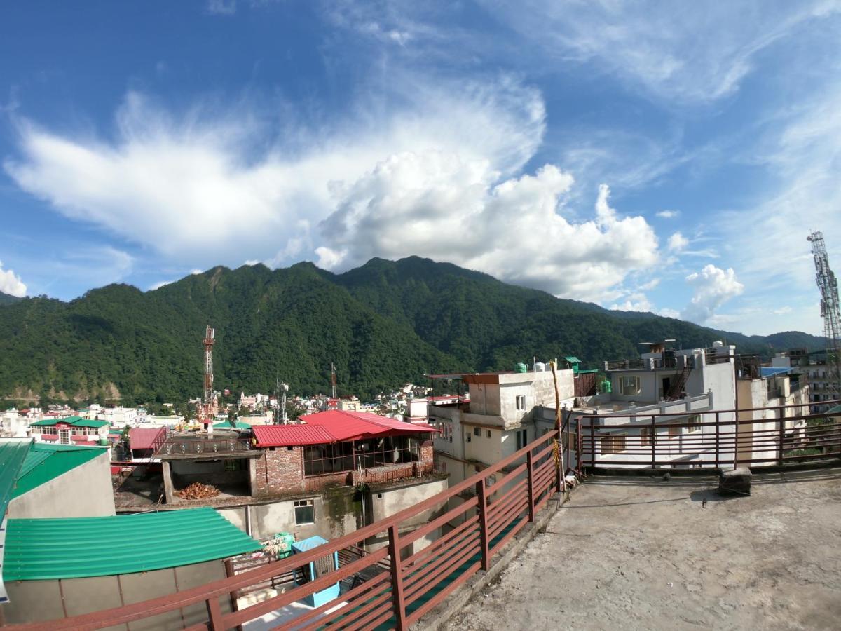The Mountain View *