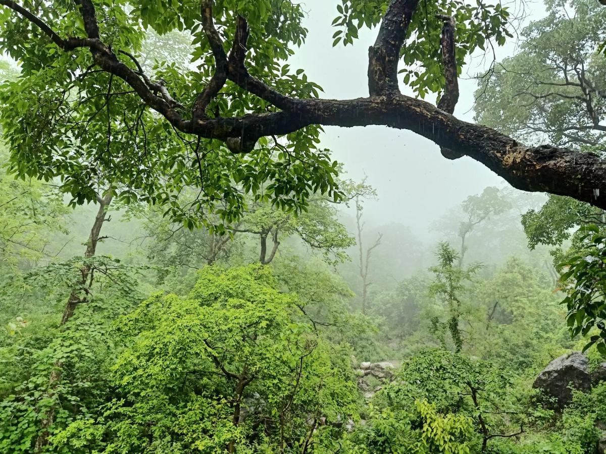 Shivanjal Wellness And Hotel *