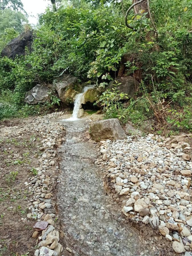 Shivanjal Wellness And * Rishikesh