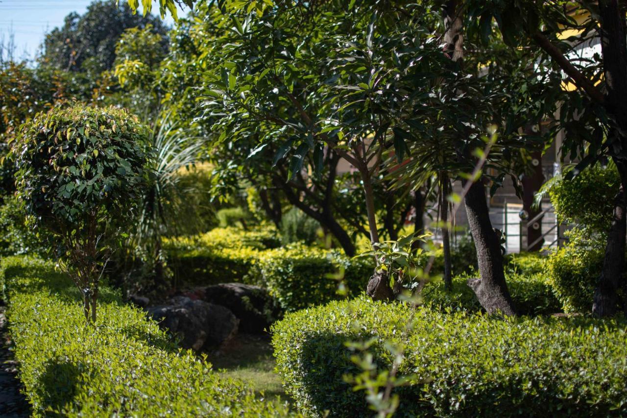 Hotel Mvt & Restaurant Rishikesh