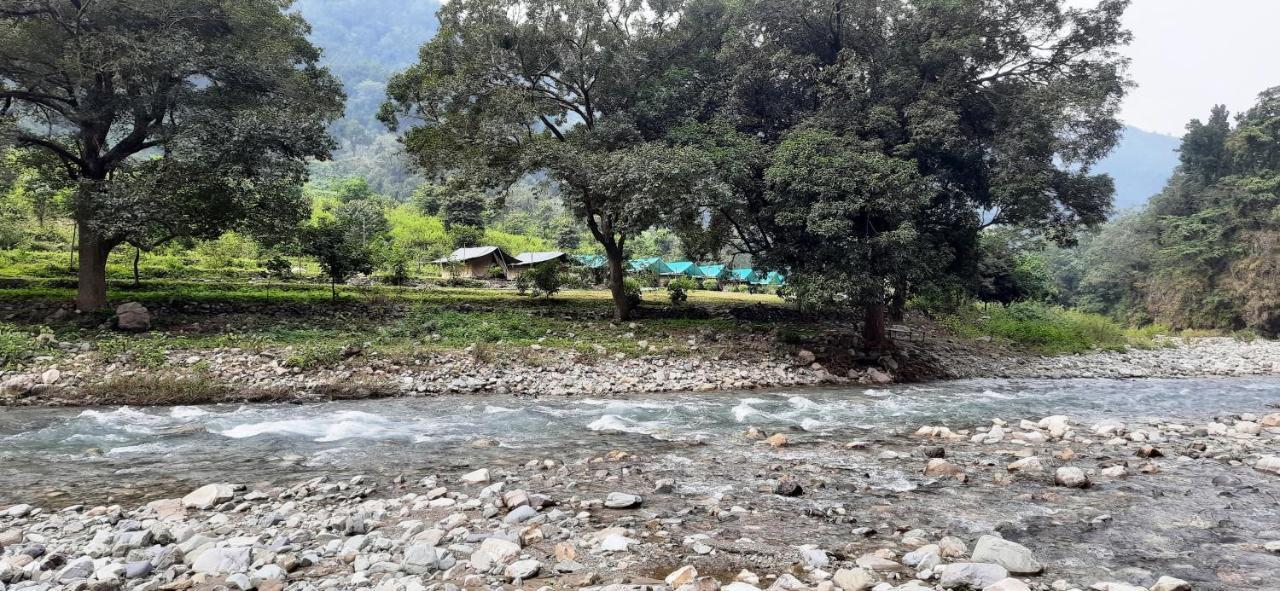 The Raajas - Camp & Chalet *