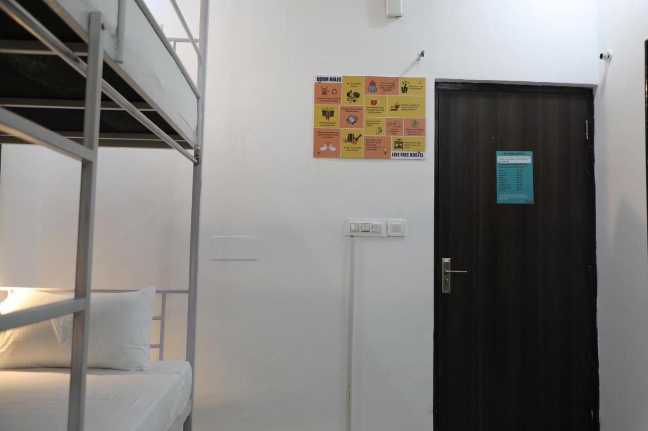 Hostel Live Free 2.0