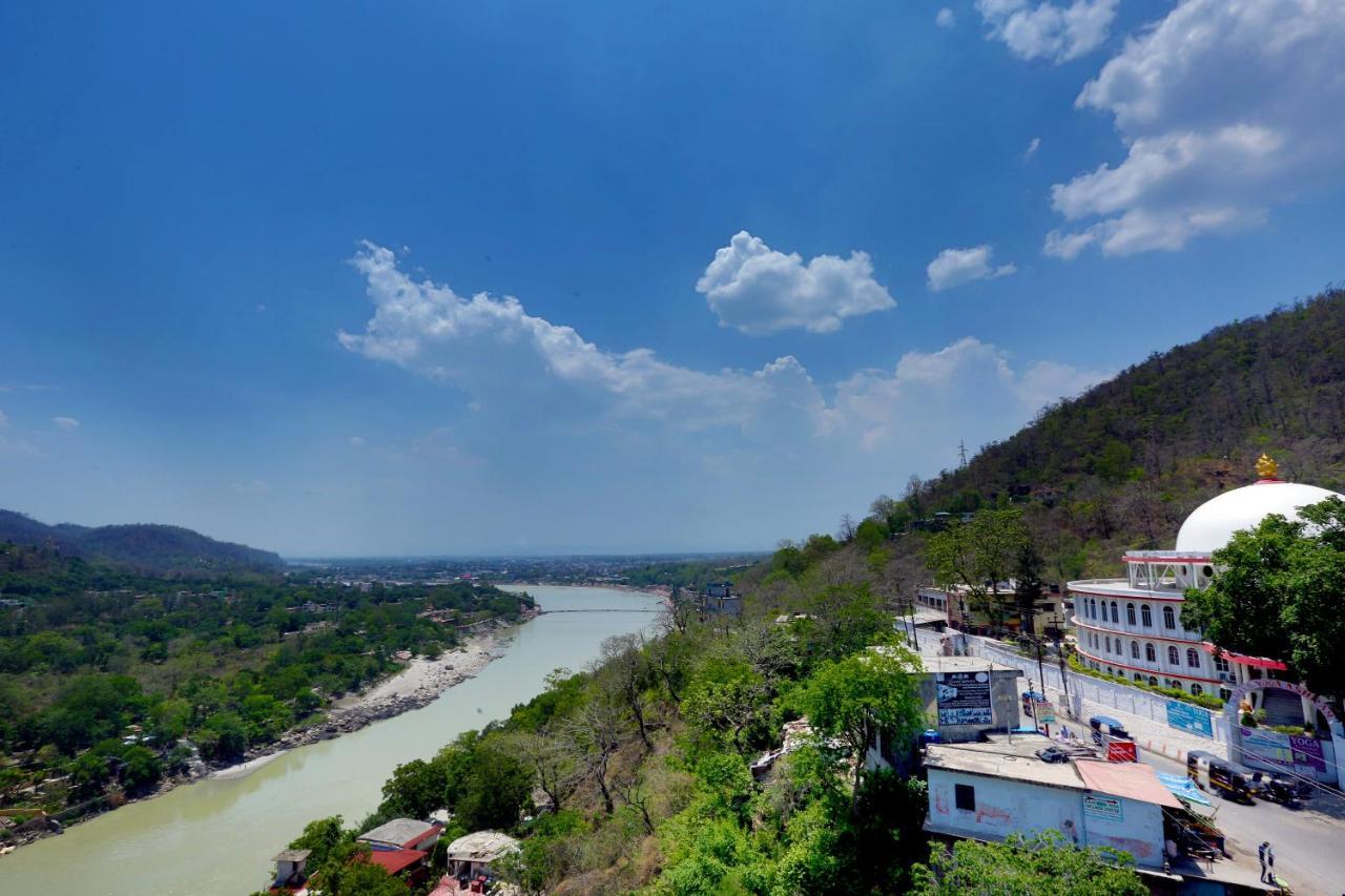 Peepal Tree Rishikesh