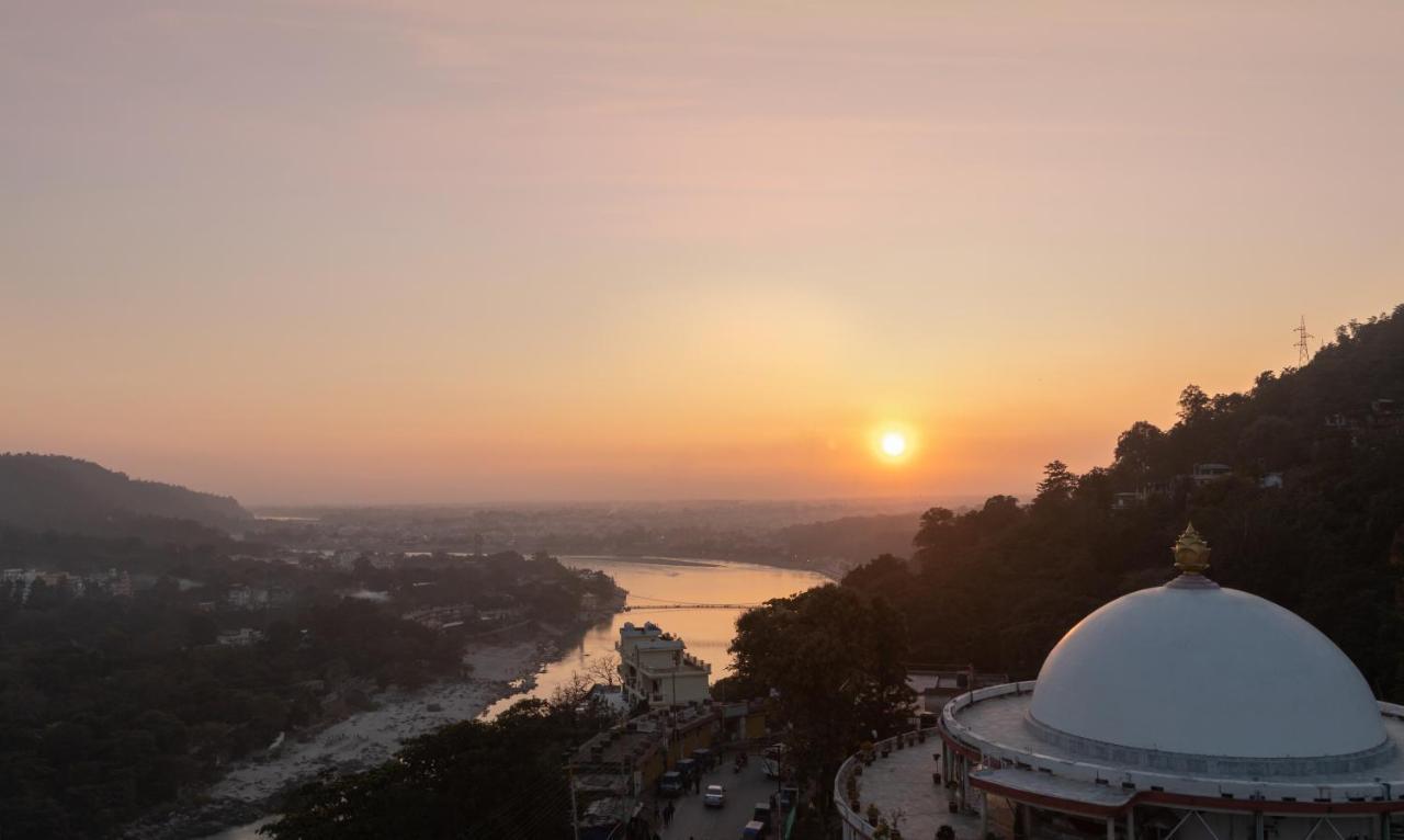 Peepal Tree Rishikesh