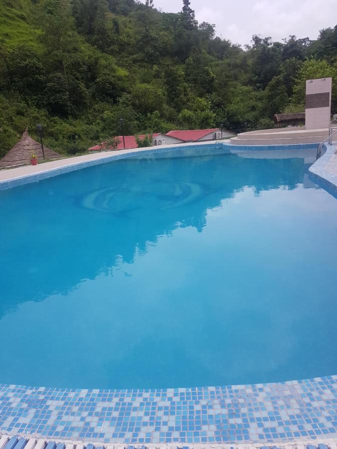 Anandvan Jungle