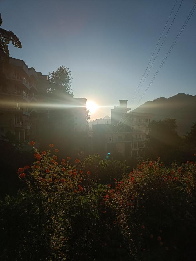 Hobbit House * Rishikesh