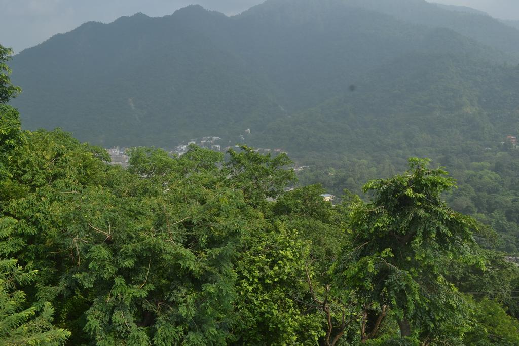 Mount Valley Mama 2* Rishikesh