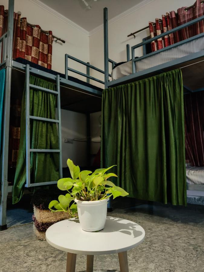 Space House Hostel