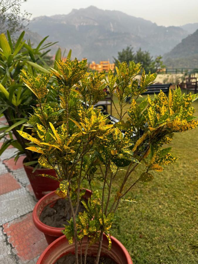 Hotel Dewa Retreat- A Himalayan Boutique