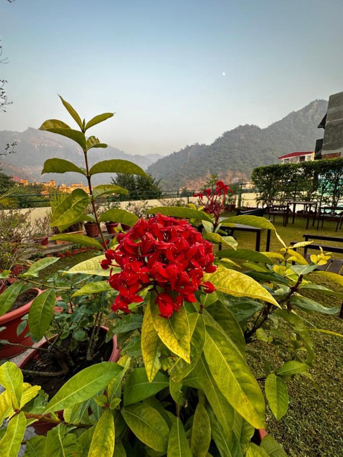 Hotel Dewa Retreat- A Himalayan Boutique 4*