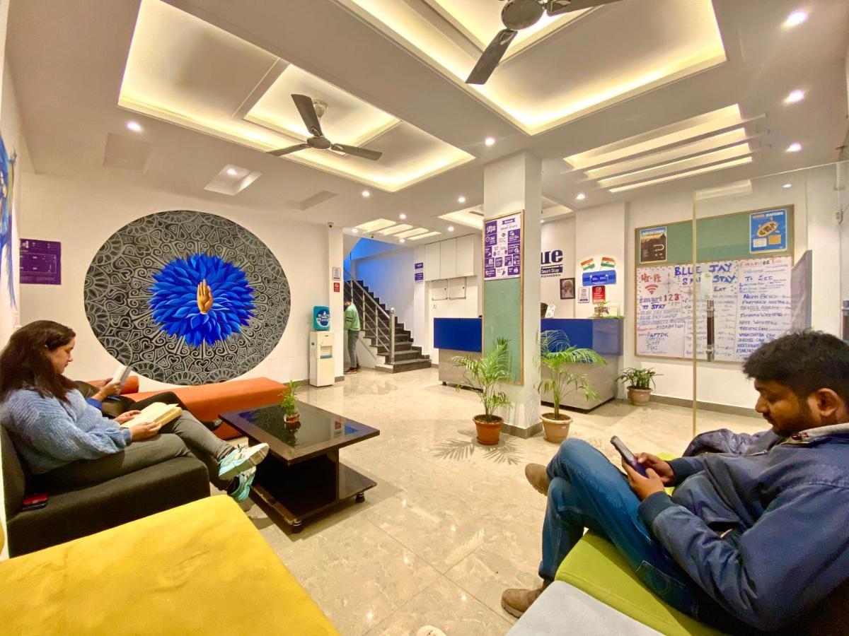 Hotel Blue Jay Smart