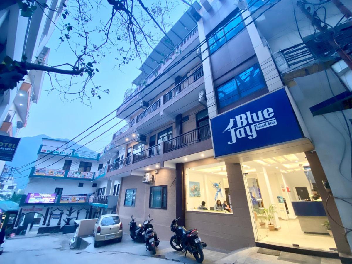 Blue Jay Smart Rishikesh