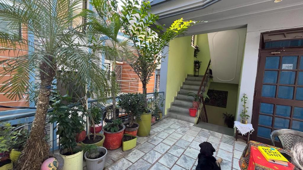 Gungun Homestay Rishikesh