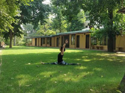 Tarang Yoga Ashram