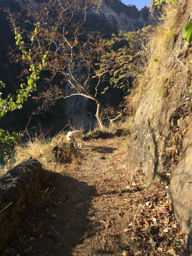 Bed & Breakfast Aashraya On Ganga
