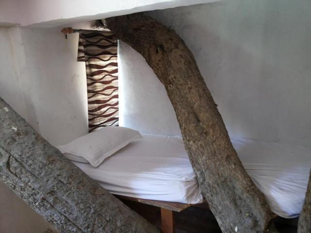 Resort Junglee Rajaji National Park *
