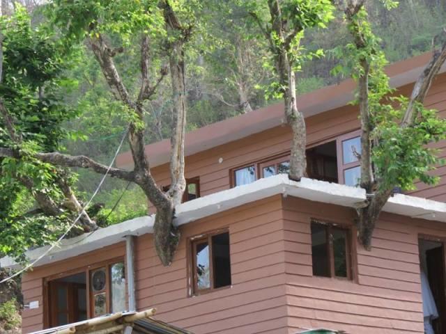 Junglee Rajaji National Park Rishikesh