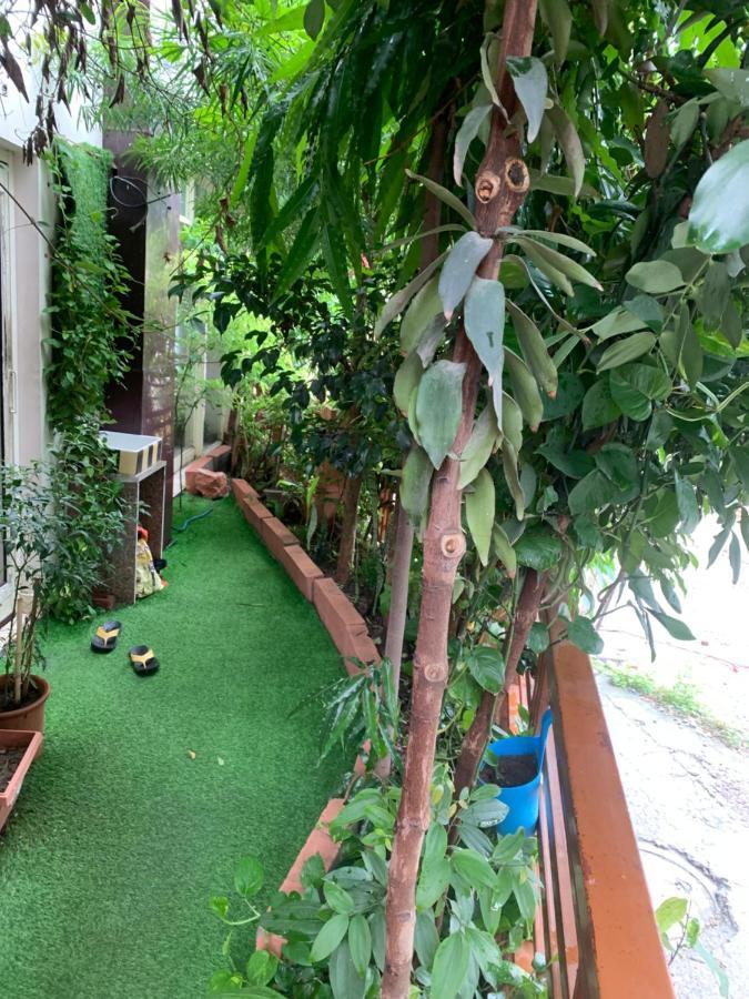 Hotel Rudram Yoga & Ayurveda Retreat 4*