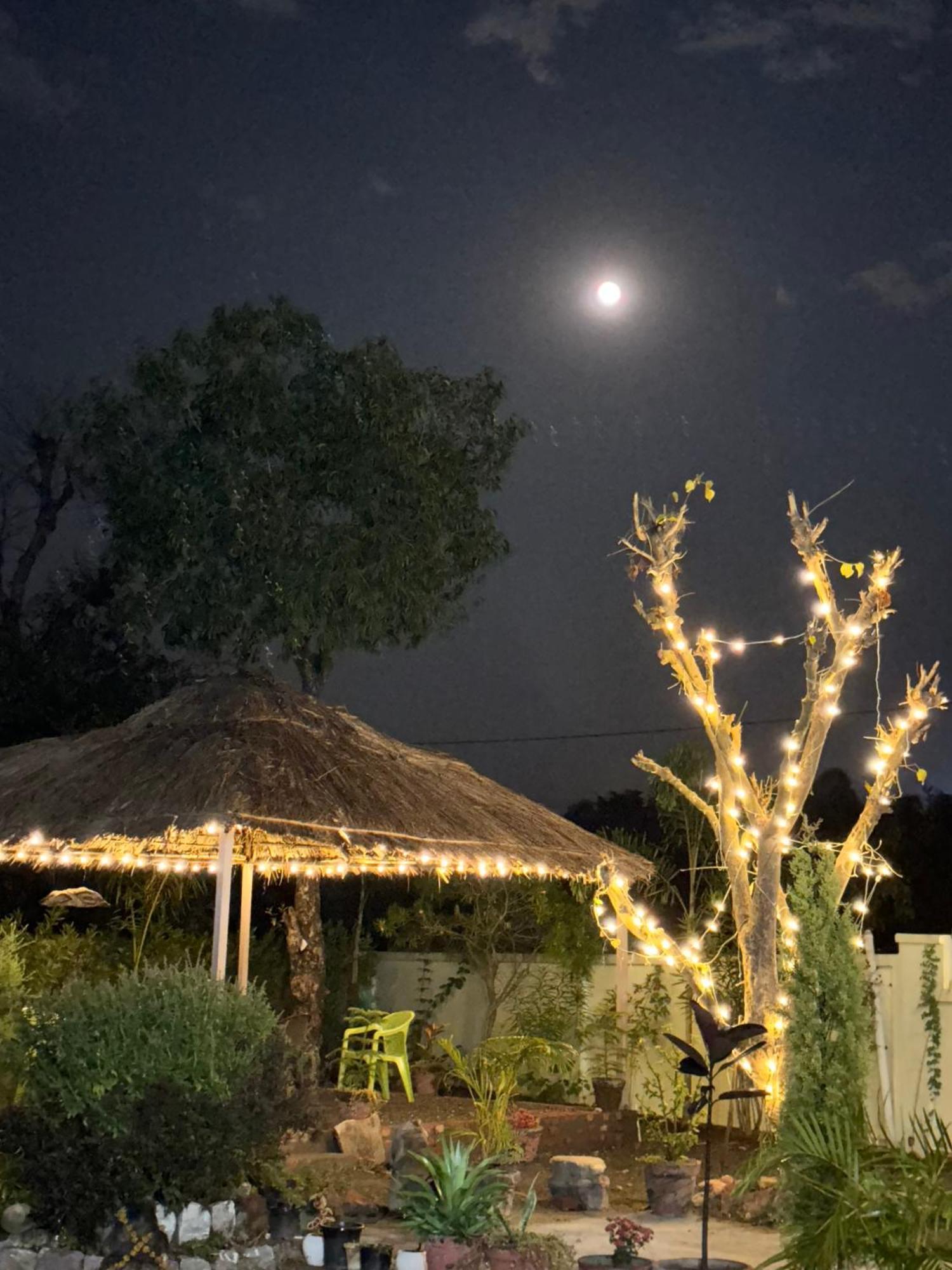 Rajaji Retreat *