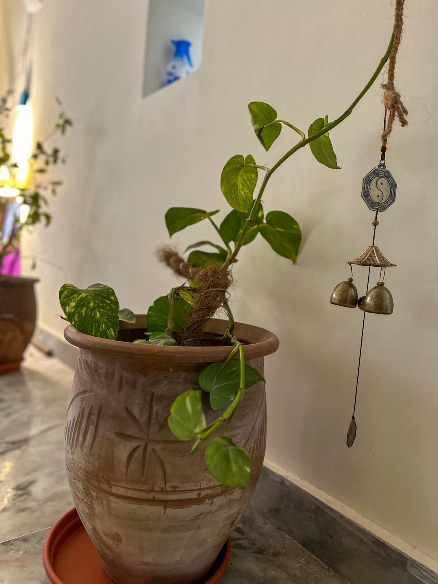 Leela Hatha Hostel