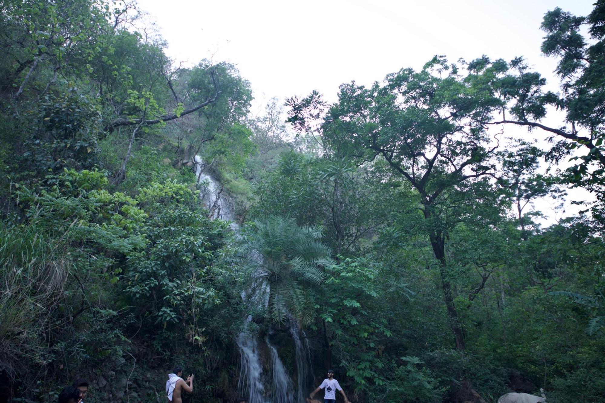 Perfect Stayz Premium Forest Valley Near Waterfall 3* Rishikesh