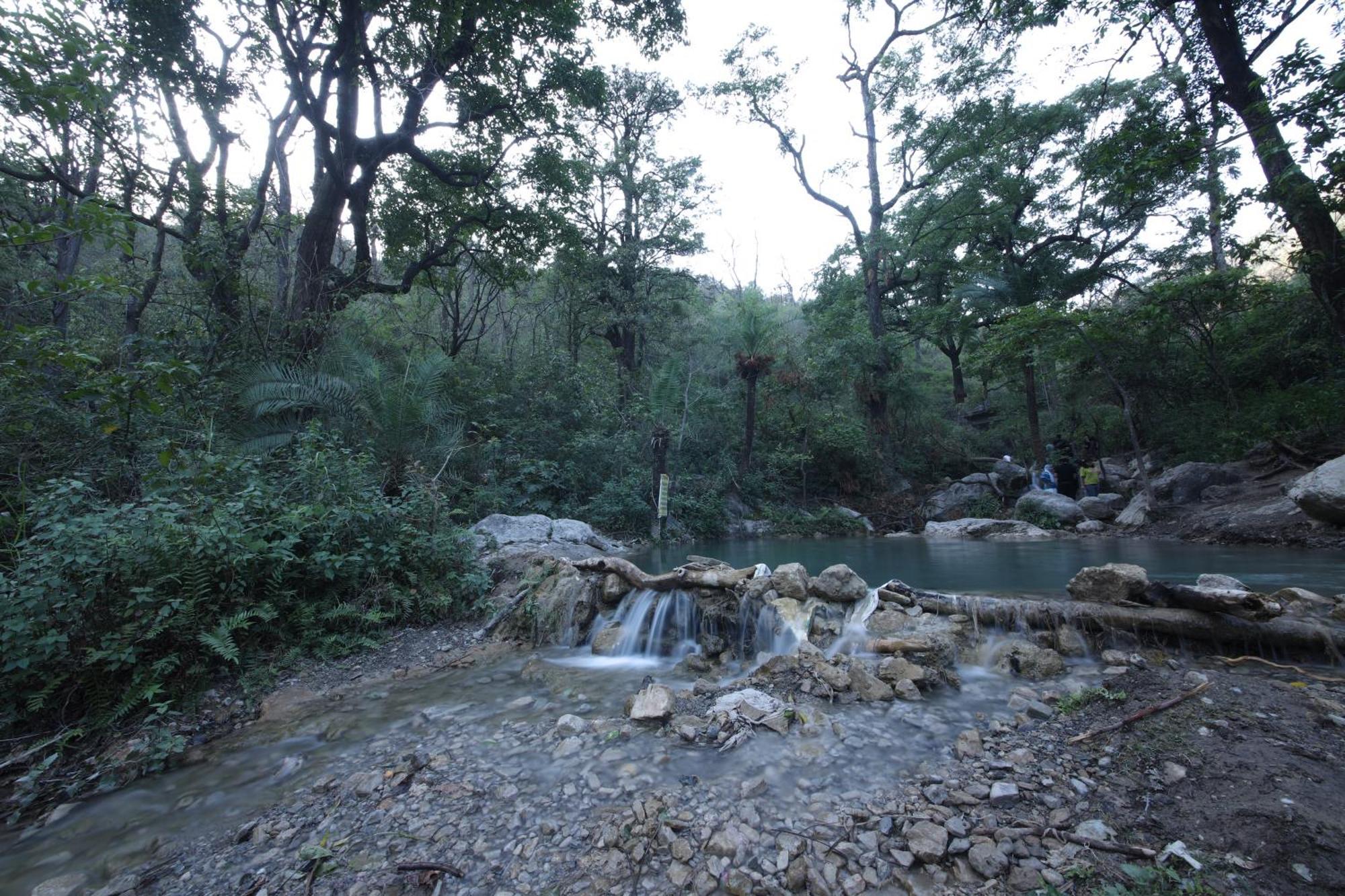 Perfect Stayz Premium Forest Valley Near Waterfall 3*