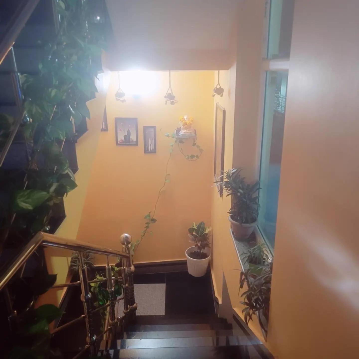 Rudransh Homestay *