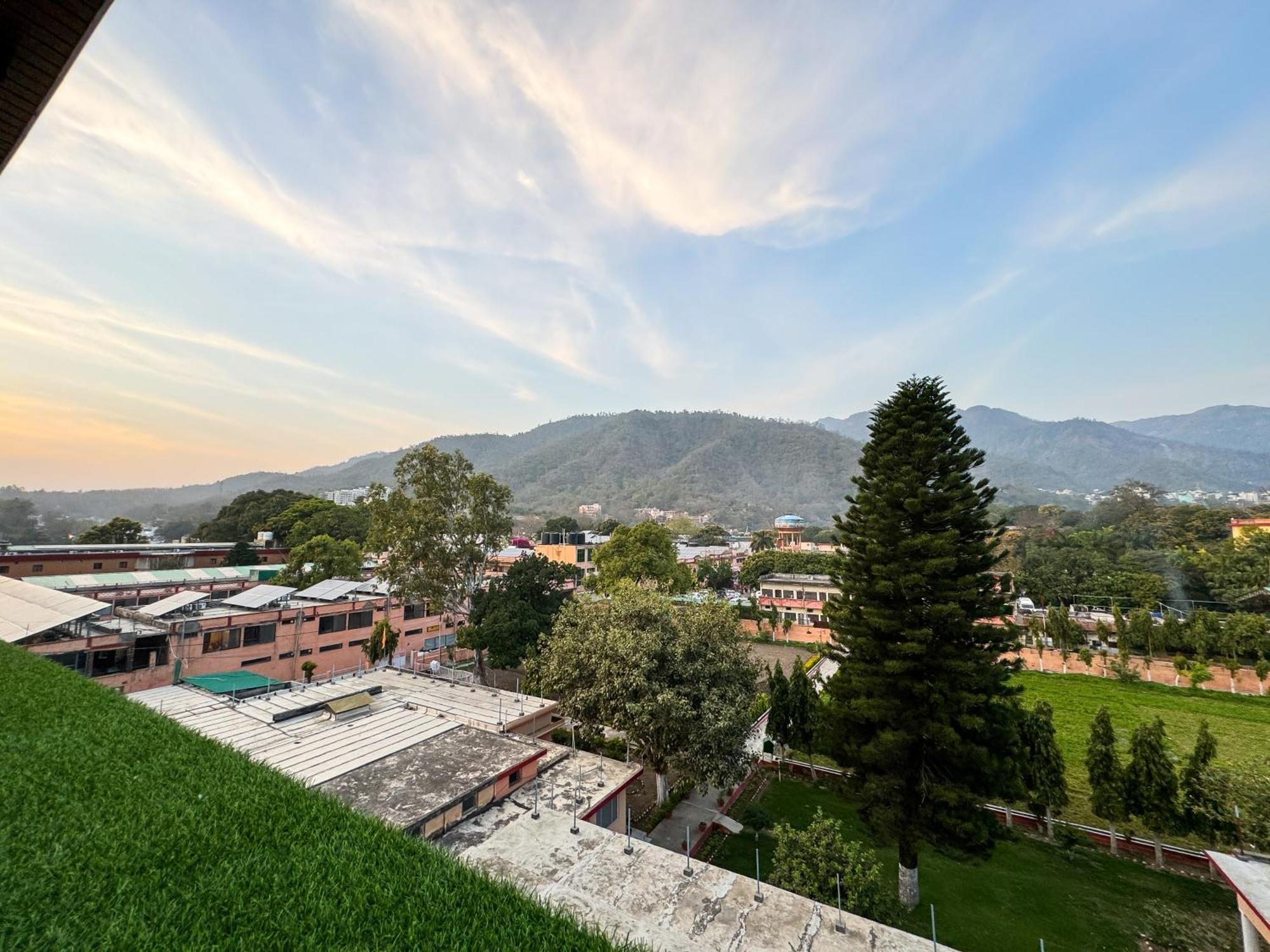 Hotel View By Tree