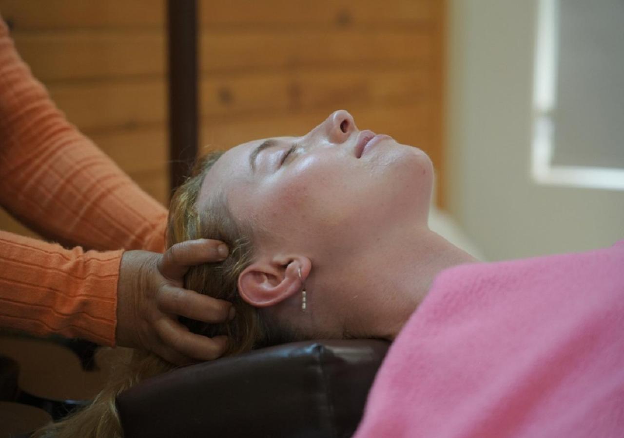 Holiday home Panchakarma Retreat - Earth Roots Ayurveda