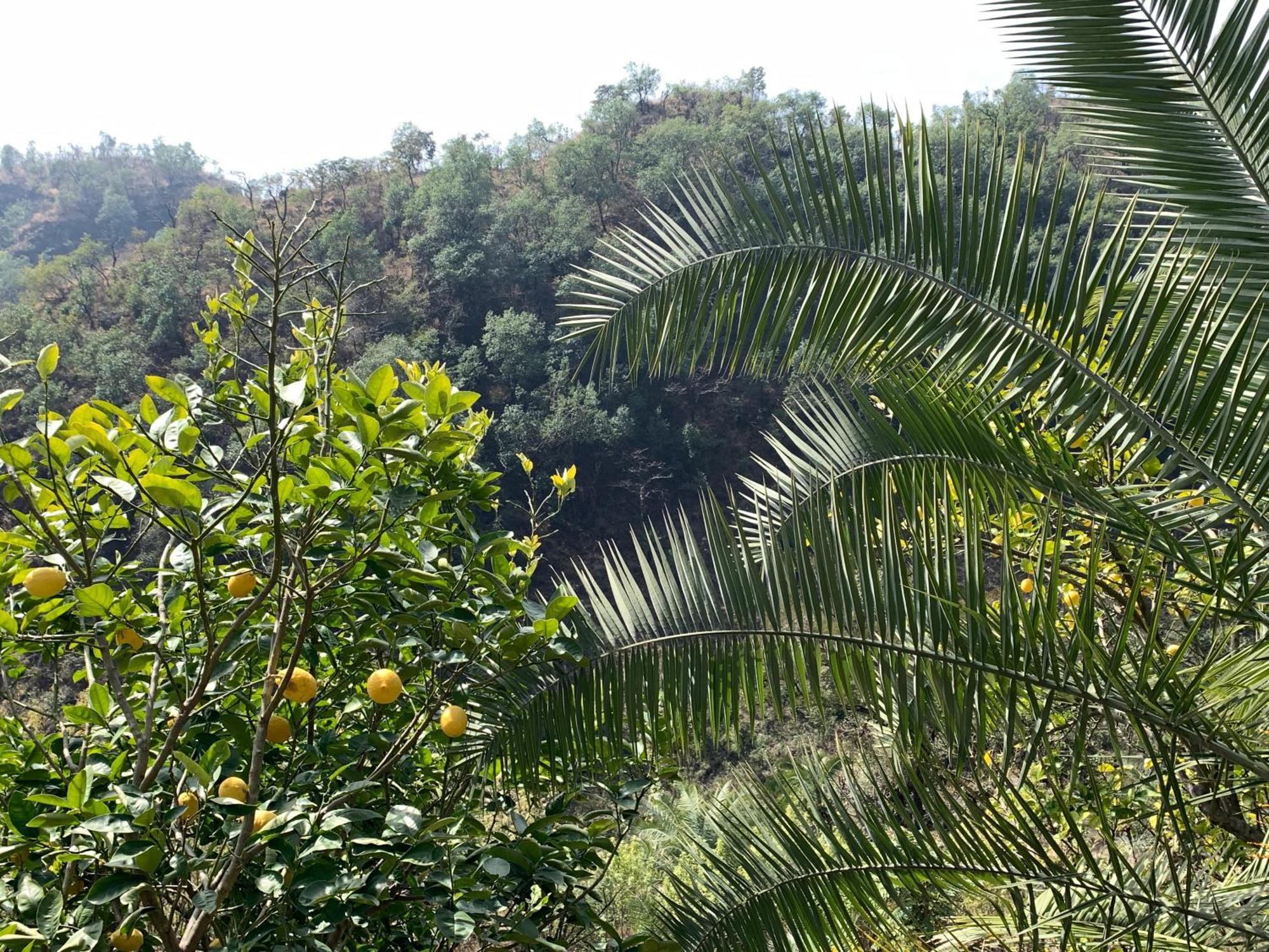 Clan Boho Rishikesh