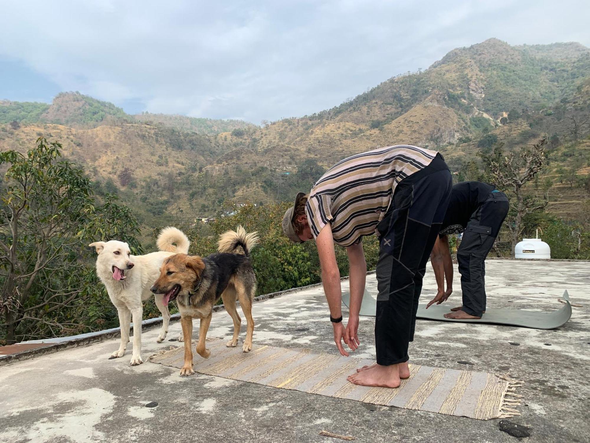Clan Boho Hostel Rishikesh