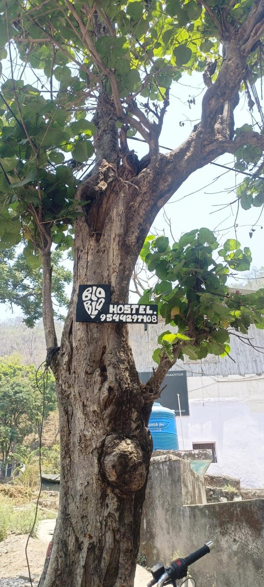 Blabla House Hostel *