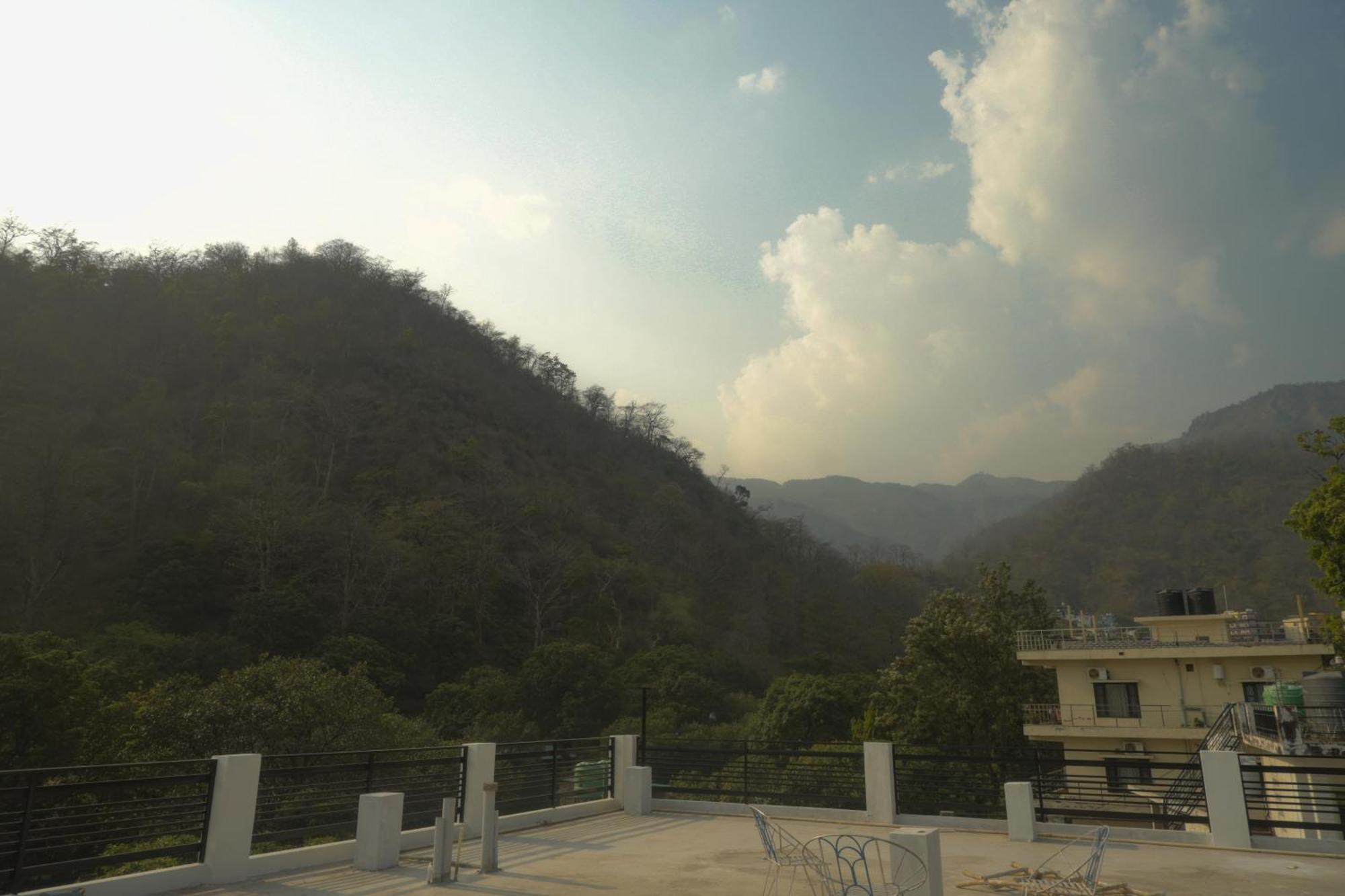 Mount Valley Mama 2*