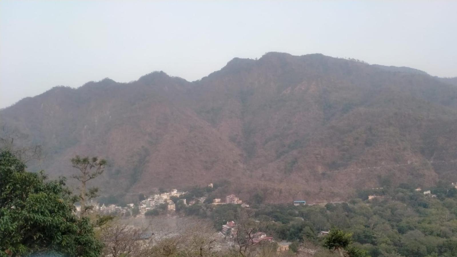 Mount Valley Mama