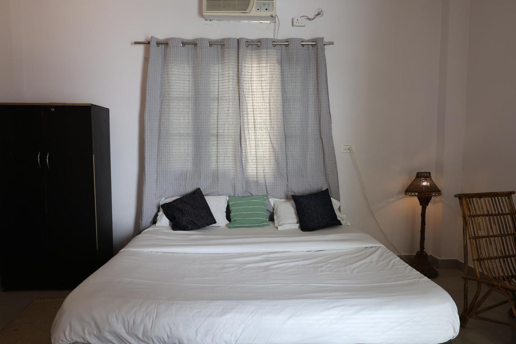 Hostel Freebird Nest