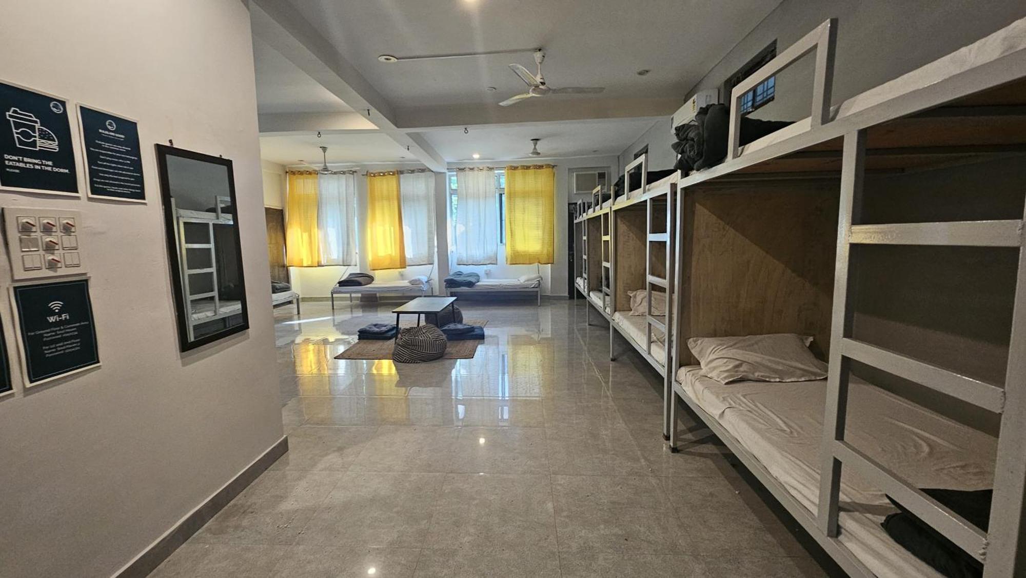 Freebird Nest Hostel